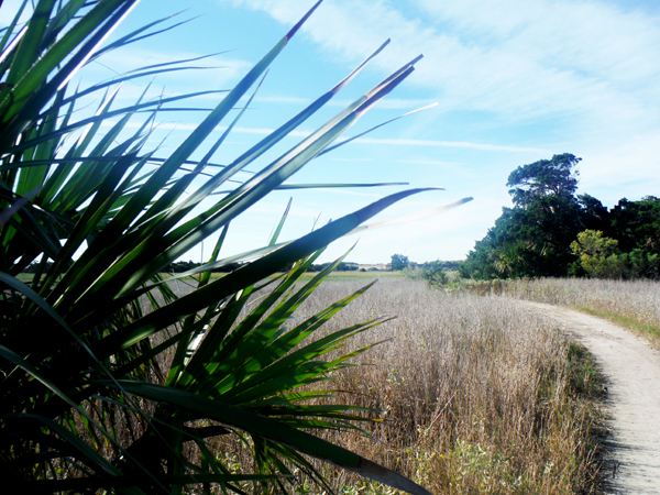 Fort Pulaski as seen fromб═the hiking trail