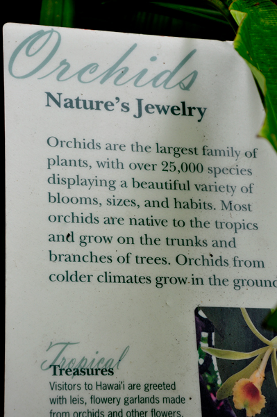 Orchid sign