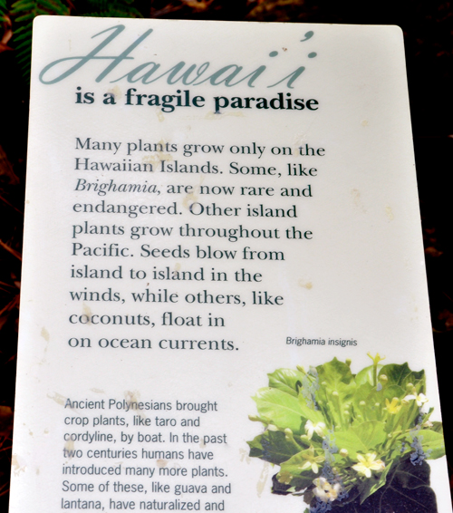 Hawaii sign