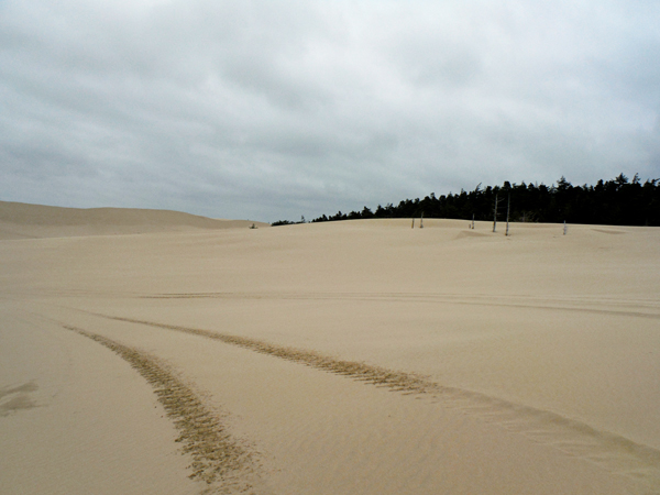 sand dunes