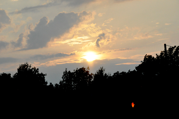 sunset and a weird hand
