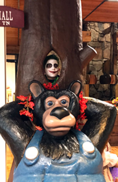 joker in a bear tree