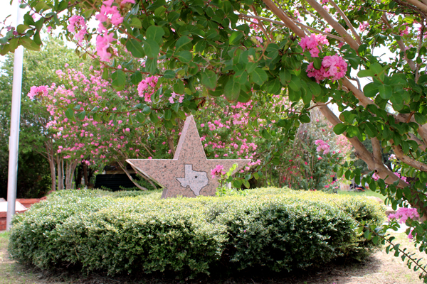 Texas star and flower