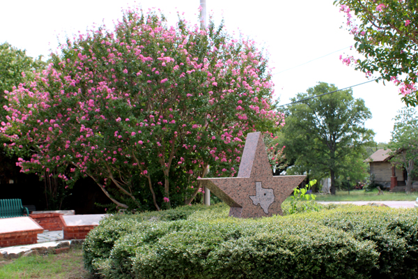 Texas star and flower