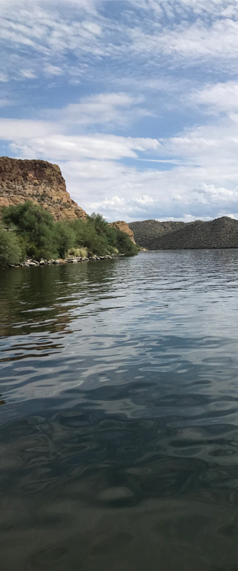 view of the area just beyond the swimming area