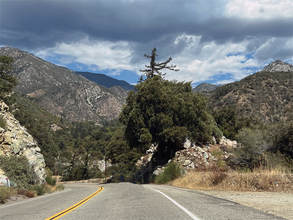 Mt Baldy Mountain
