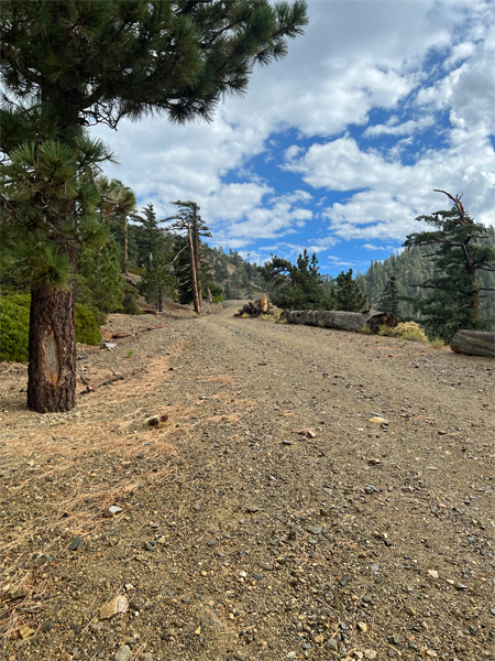Mt Baldy scenery