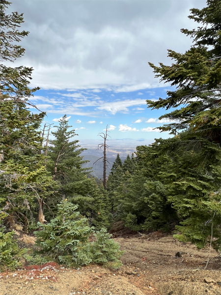 Mt Baldy scenery