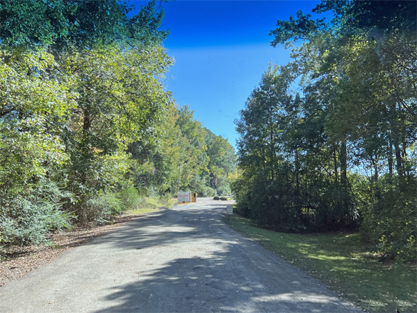 campground road in 2022