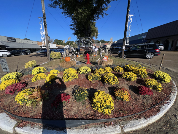 flowers in Coldwater