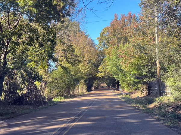 road to Arkabutla Lake
