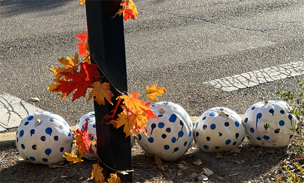 white pumpkins