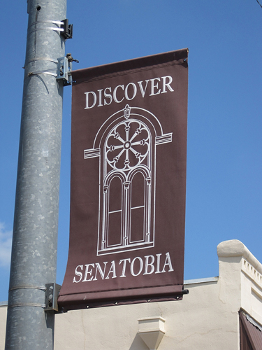 Discover Senatobia flag