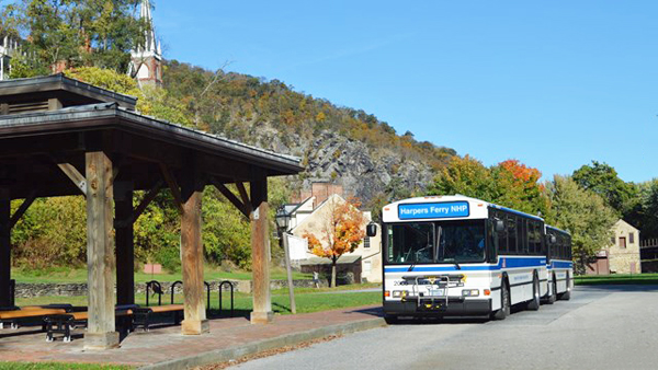 bus