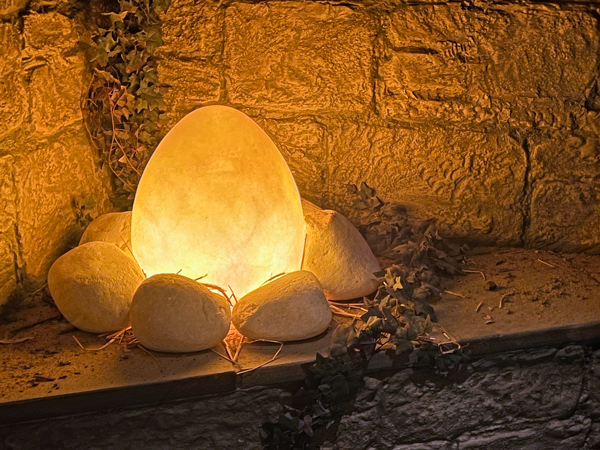 Dragon's Egg