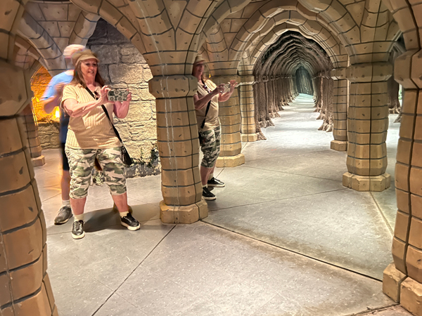 in The Enchanted Mirror maze