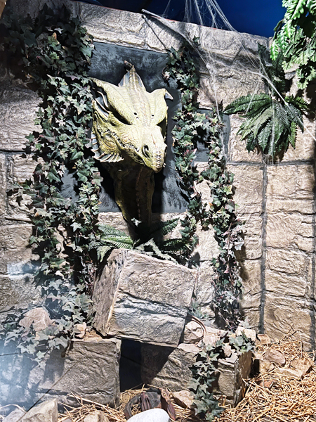 The Dragon Head