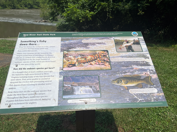 ecosystem and fishy sign