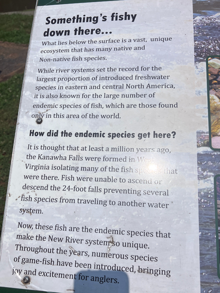 ecosystem sign