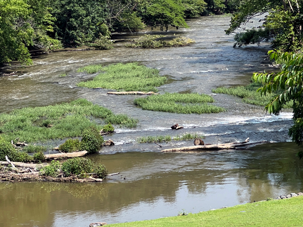The New River