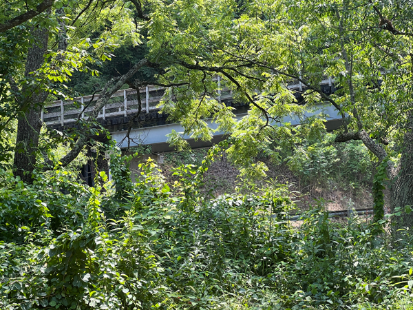 Looking back up at the roadway