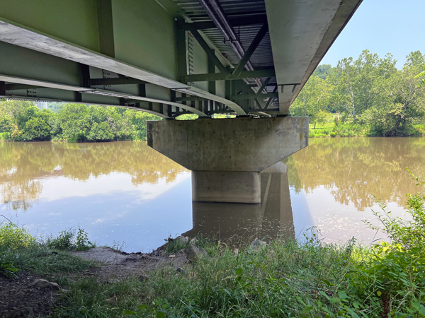 bird under the bridge