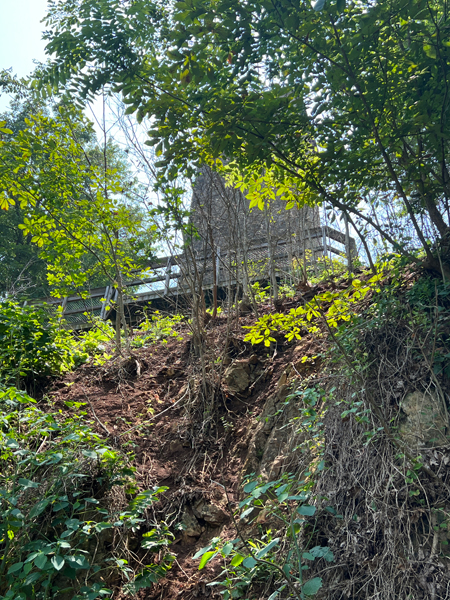 The back side of The Shot Tower