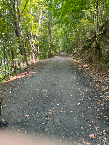the narrow pathway back