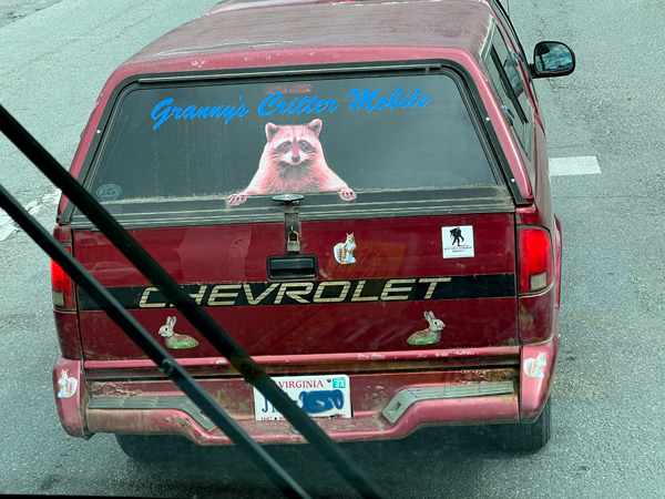 an interesting Chevrolet turck