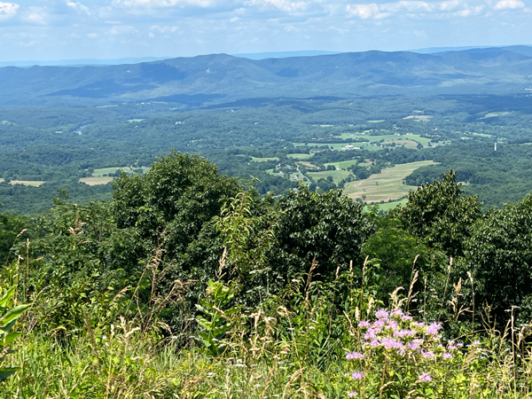 overlook view