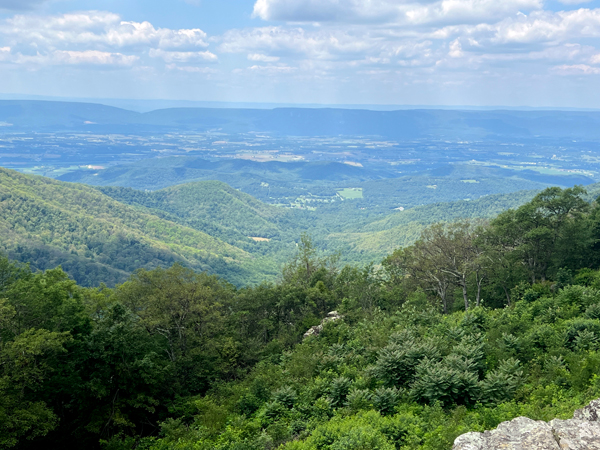 Skyline Drive overlook