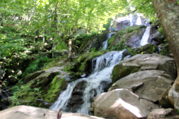 Karen Duquette at Dark Hollow Falls