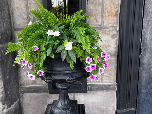 flower pot by the Castle door