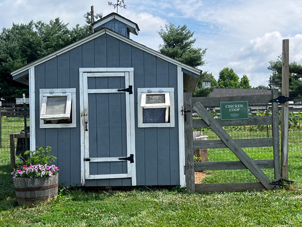 the Chicken Coop
