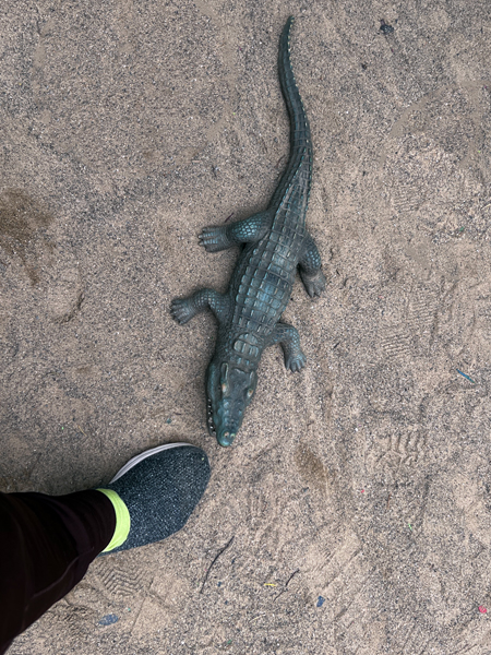 Alligator tried to bite Karen Duquette's foot