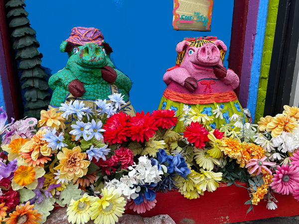 Randyland  pigs
