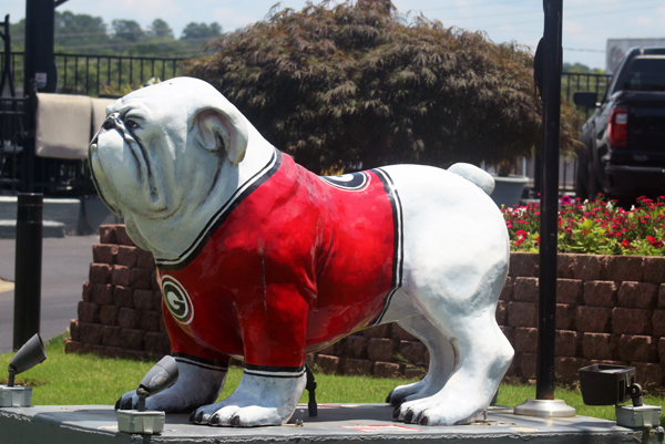 bulldog statue