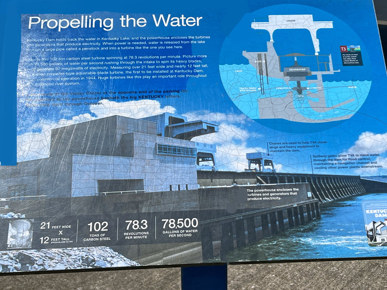 signabout propelling the water