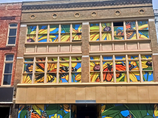 flowers and bees in windows