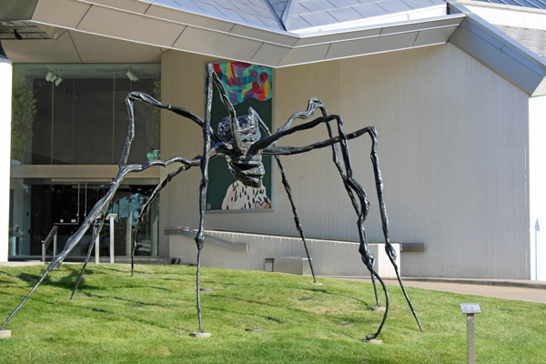 spider art