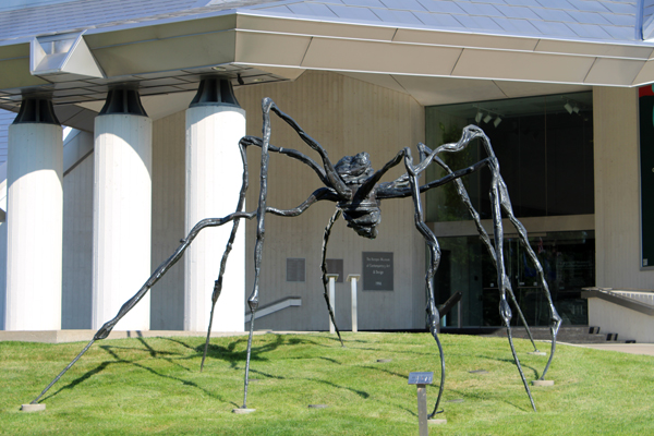 spider art
