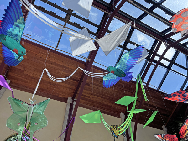 kites on the ceiling