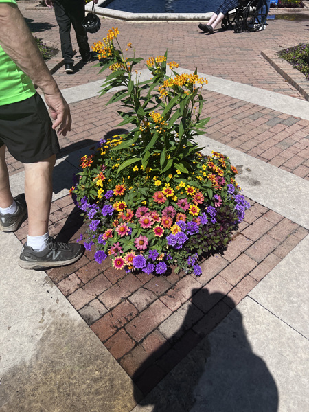 flowers