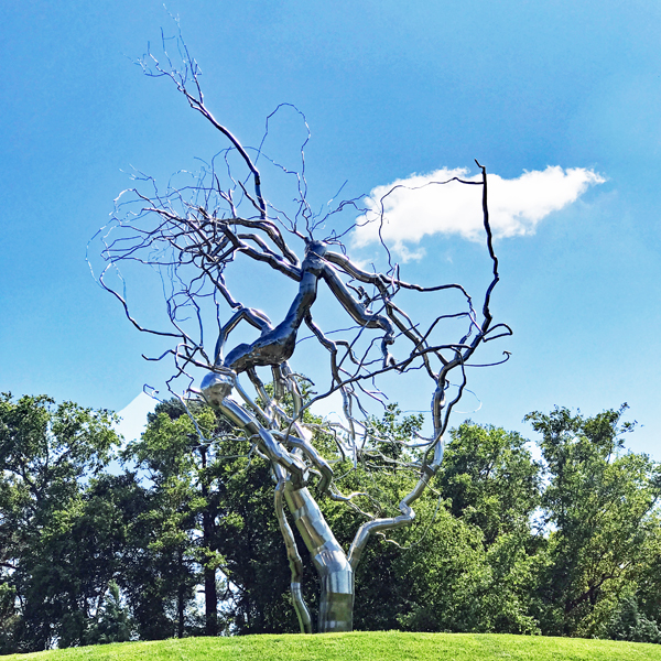 a nnaked tree