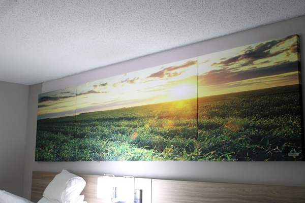 wall mural