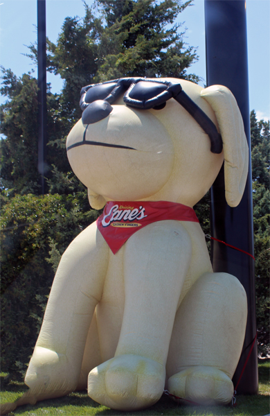 Raising Cane's Chicken Fingers Dog