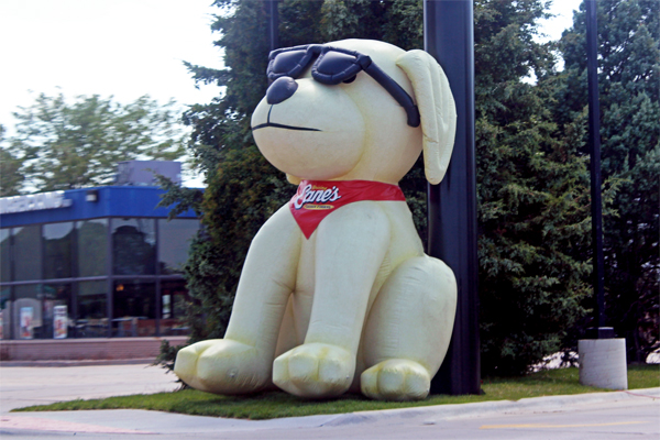 Raising Cane's Chicken Fingers Dog