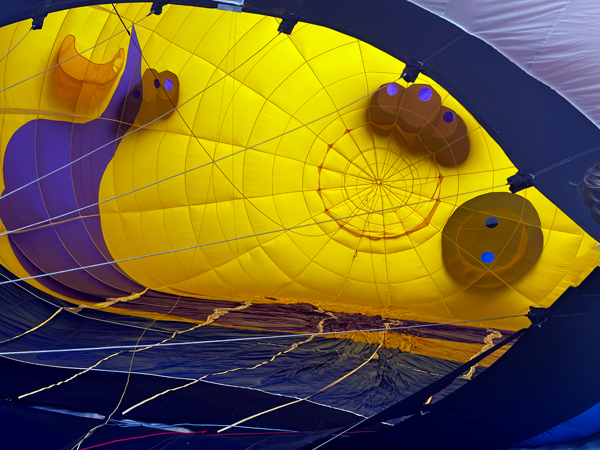 clown hot air balloon
