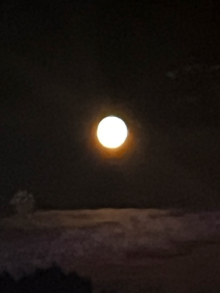 moon