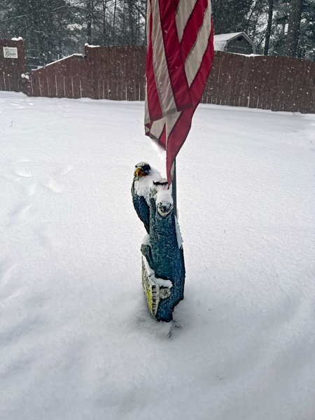 Eagle statue covered with snow